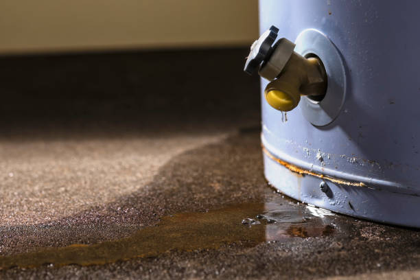 Best Residential water damage restoration  in Alderson, WV