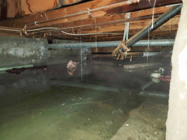 Best Fire Damage Restoration  in Alderson, WV