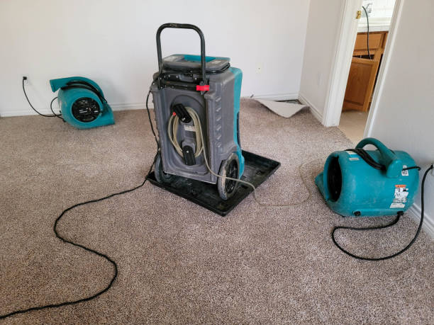 Best Water damage restoration mold remediation  in Alderson, WV