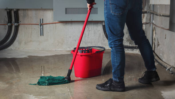 Best Sewage cleanup and water damage restoration  in Alderson, WV