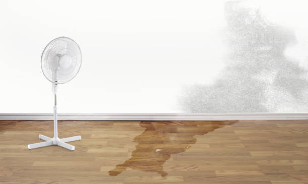Best Water damage restoration cost  in Alderson, WV