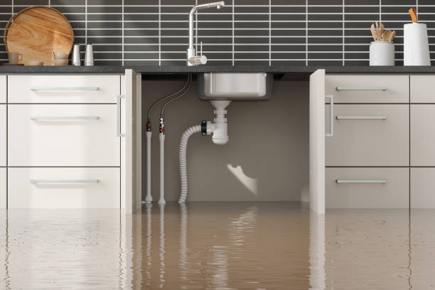 Best Commercial water damage restoration  in Alderson, WV