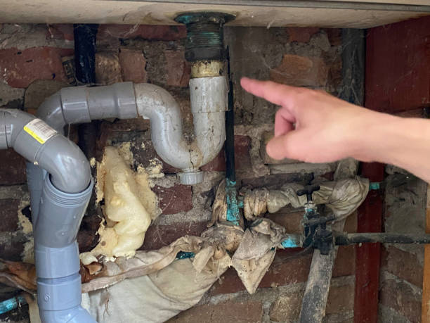 Best Commercial water damage restoration  in Alderson, WV