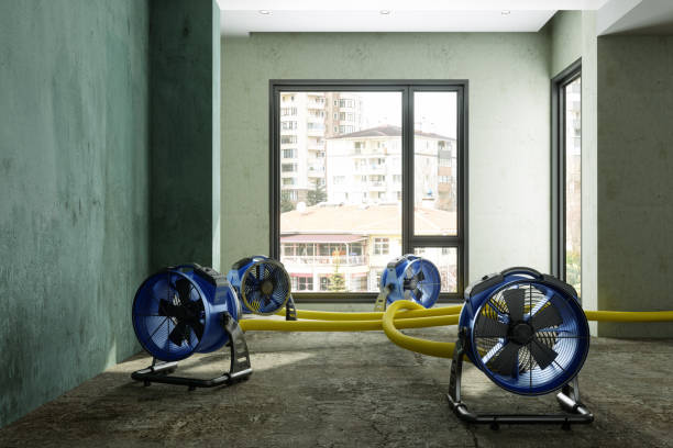Best Flood restoration services  in Alderson, WV