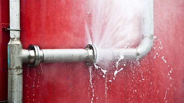 Best 24/7 water damage repair  in Alderson, WV