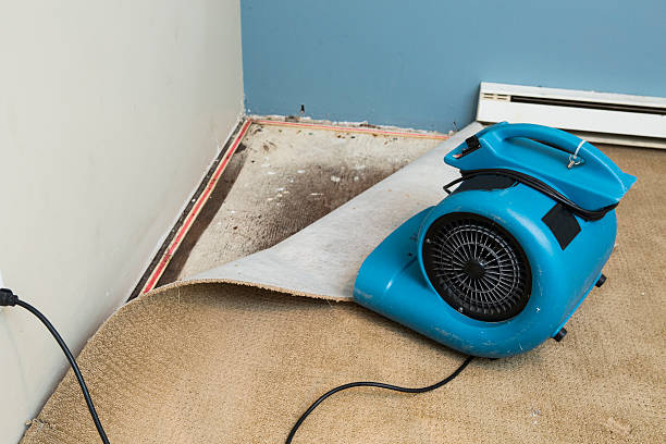 Trusted WV Water damage restoration Experts